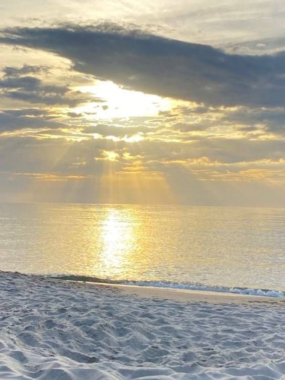 ����� ����������: ������ ����! ������� � ����� ��� ������ � �������������� ���