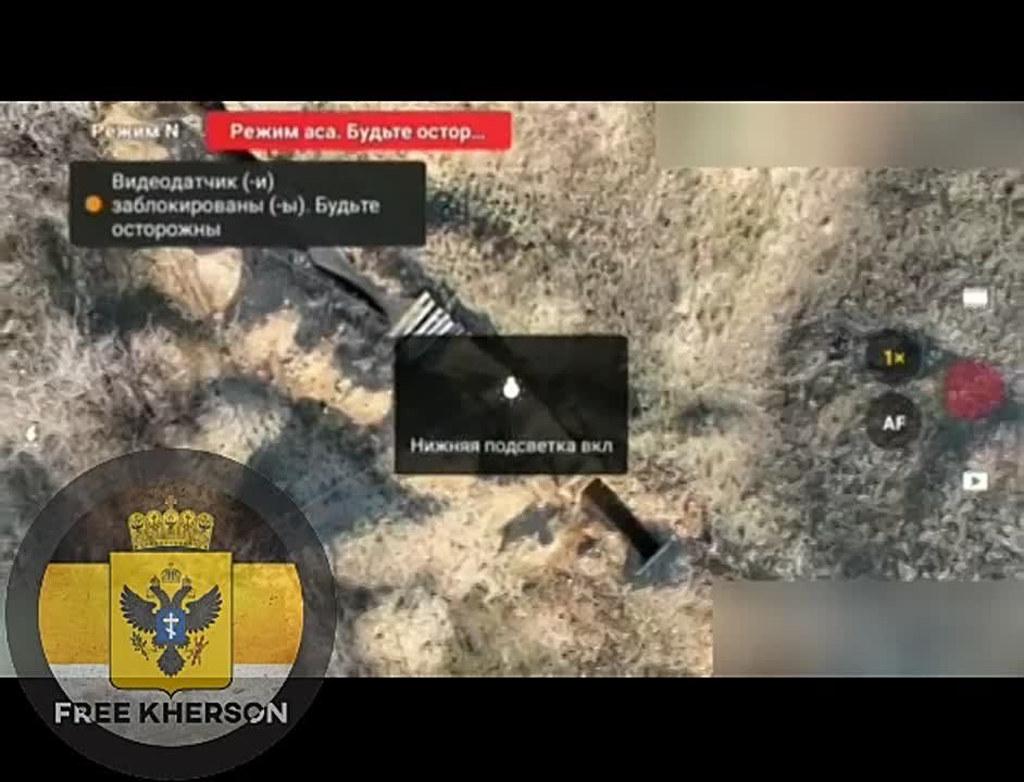 ��������� ���� 205 ����� ����������� "�����" �������� �� �������� ���