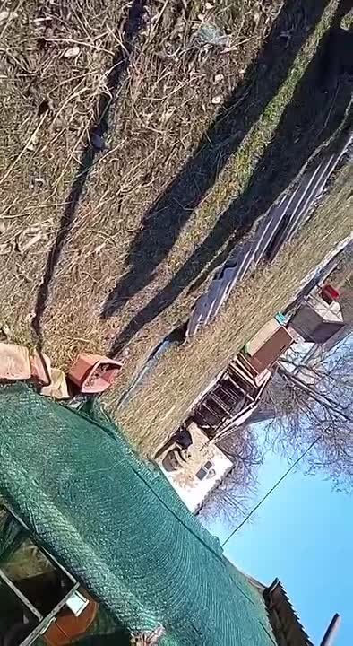 ��� �� ��� ������� � ��������� ��� � �������, ������ � ����!