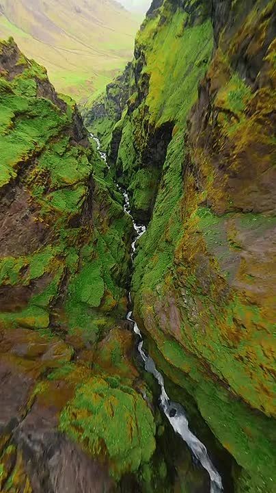 ������� �� ���, ��� �� ������, � ���, ��� ������������ ���� �����