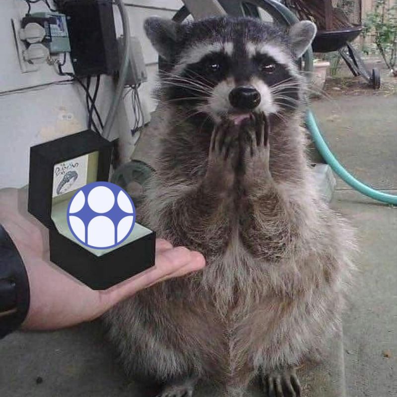 ���� �� �������: ����������� ������� �� ������ ����