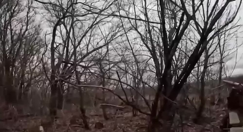 ���� ����� �������� ����� fpv �����