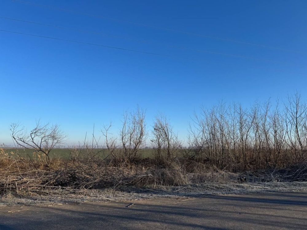 �� ���������� ������������� ��������� ��������� ������� ������ �� ������ ����������