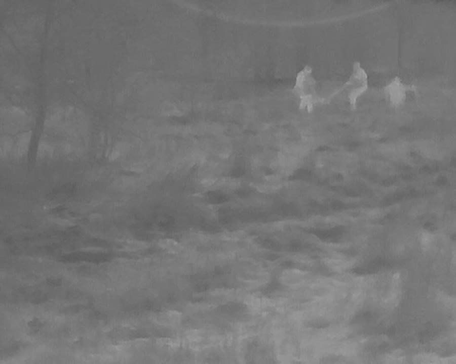 ����������� ������������ �������� ������������� ����� � ���� ������ �������������� ��� � ������ �.�