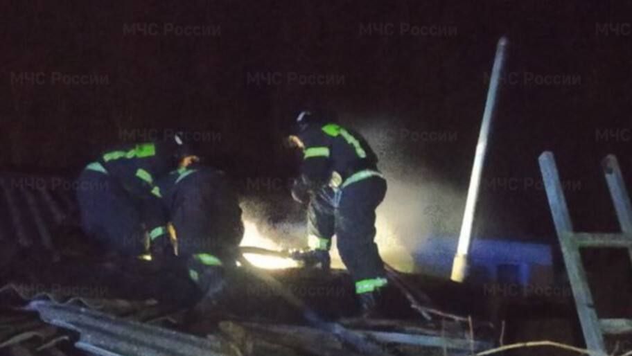 � ���������� ������� ������ ����������, ��� ����� �������� 733 ��������