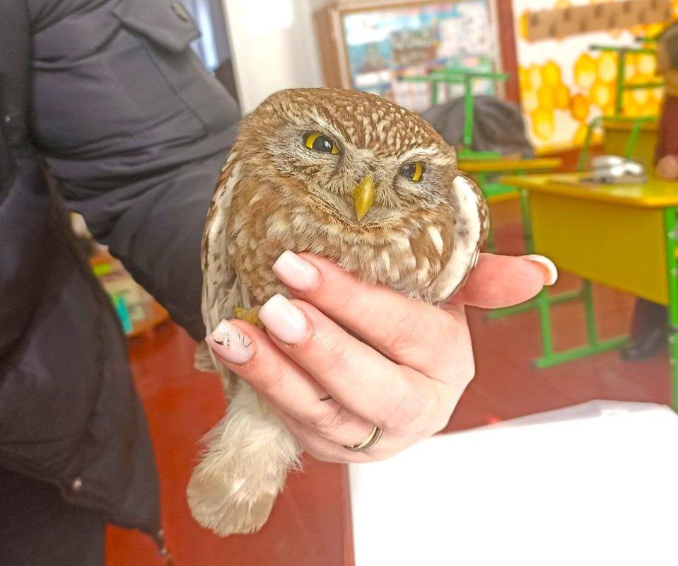 � ���������� ������ � �������� ���������� ����