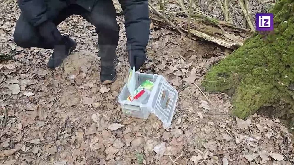 ����� ������� ���������� � ���������� ��������� �� ����������� ������, ���������������� ������������ ��� ������