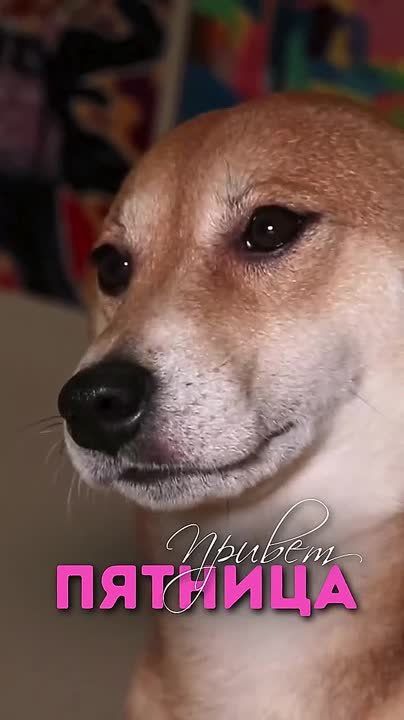 #������������