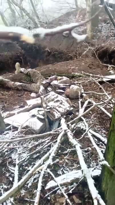 �������� ��������. ��������-����� ���������� �������