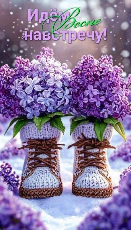 ������, ������� ������ � �����