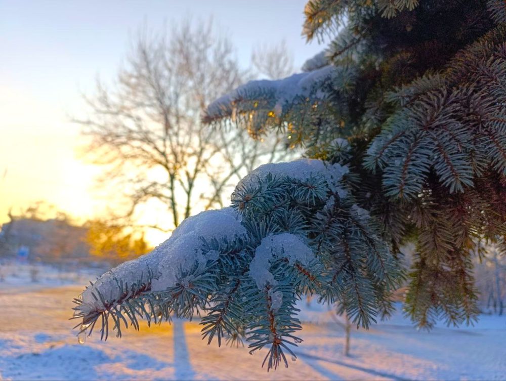 ��� � ������ � ����� ����������� ����