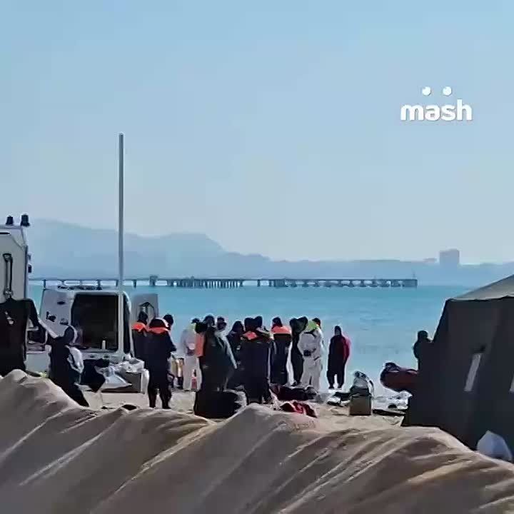             Mash