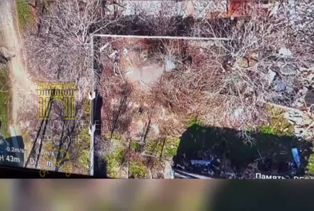 ����� ���������� ������� �� ���������� �����������