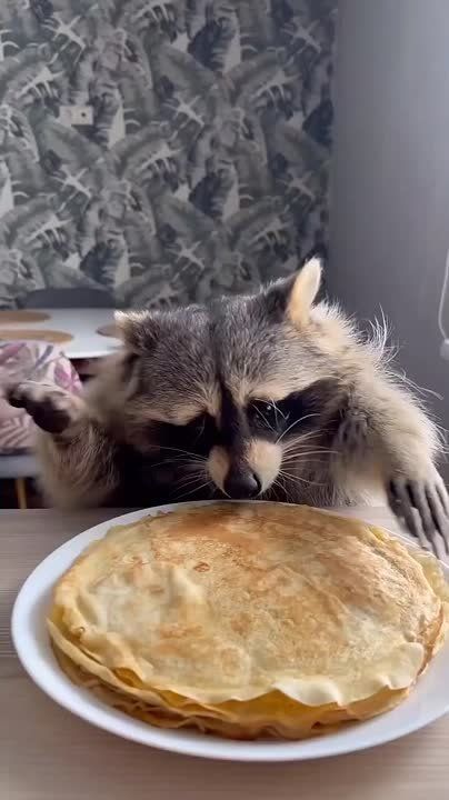 ���� �� �������: ���� ��� ��������� ����������� - �� ������ ������������� �������, ������ ��� ��������� � ���� ����������