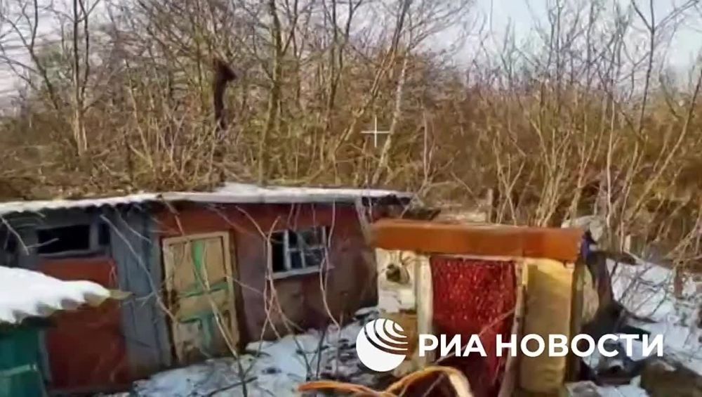 ���� �� �������: ���������� ����������� 83-� ��������� ����������� ��������-��������� �������, ����������� � ������� ����������� ����� "�����", ���������� ������ ������������� ���������� � ������� ����� ����������� �...