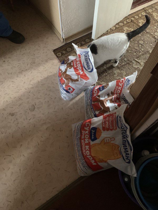 ������������ ������ � ���������� ������� ������ ������� � ������� ��������