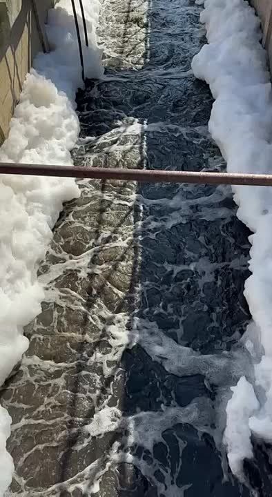 � ��������� ��������� ���������� ������ �� ��������������� �������� �����������