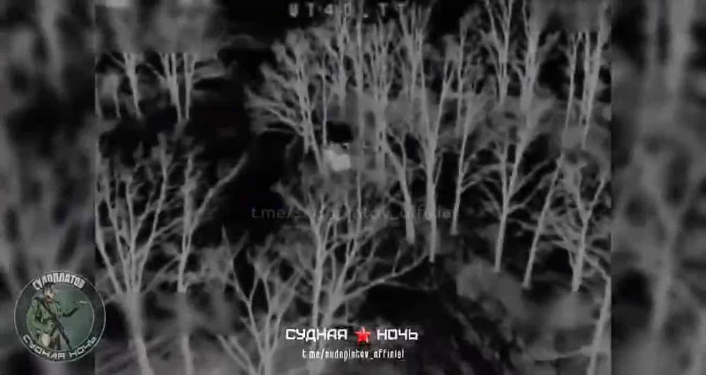 "������ ����" �� ����������� �����������