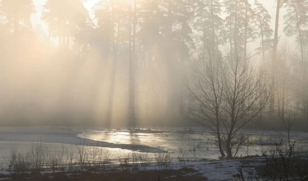 ���������� ������� 4 ����� ������� �����