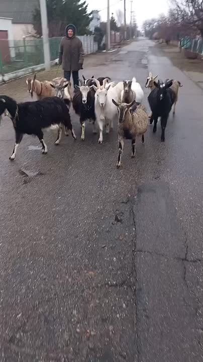 � ������ �����, �����������!