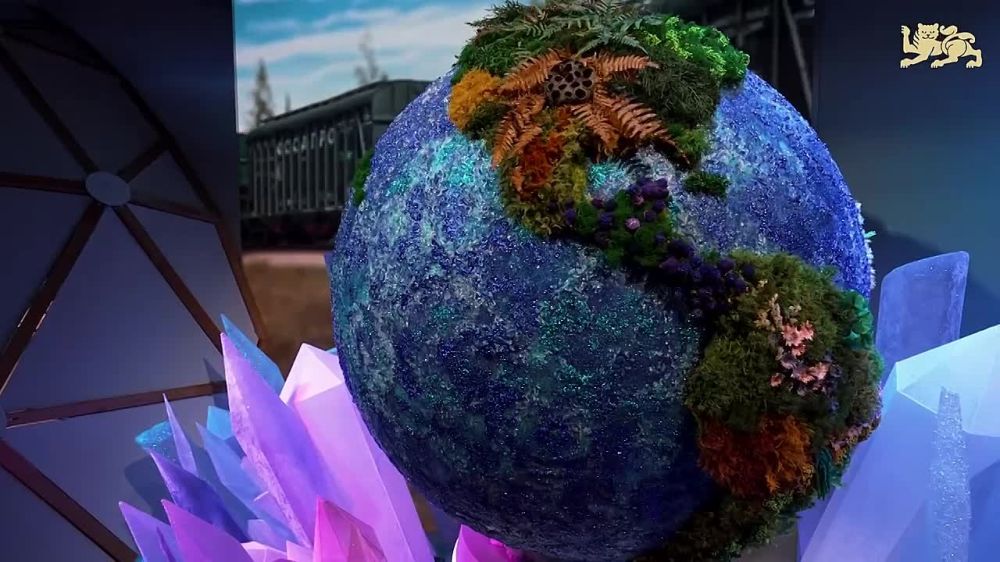 В Москве открыли выставку «Путешествие по России» — на ней можно за час совершить цифровой тур по регионам нашей страны