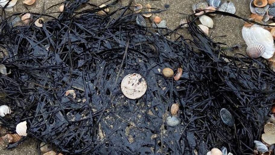 ������������ �������: ������ ������ �� �������� ��������� � ������������ ��������