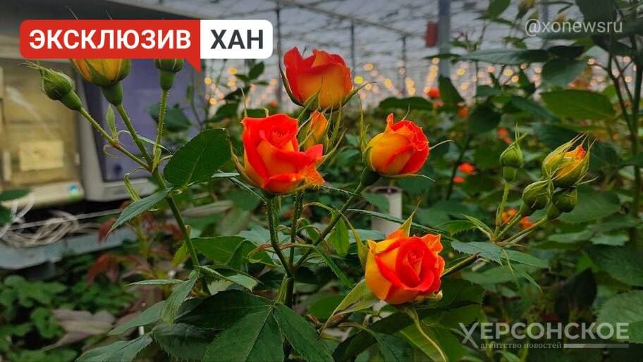 ������� ��� �� �������. �������� �������� �������� �� ����������� ��� � �����������