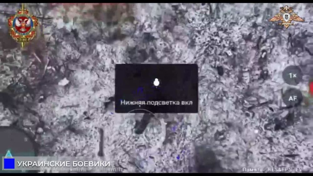 ����������� ����������� �������� ���