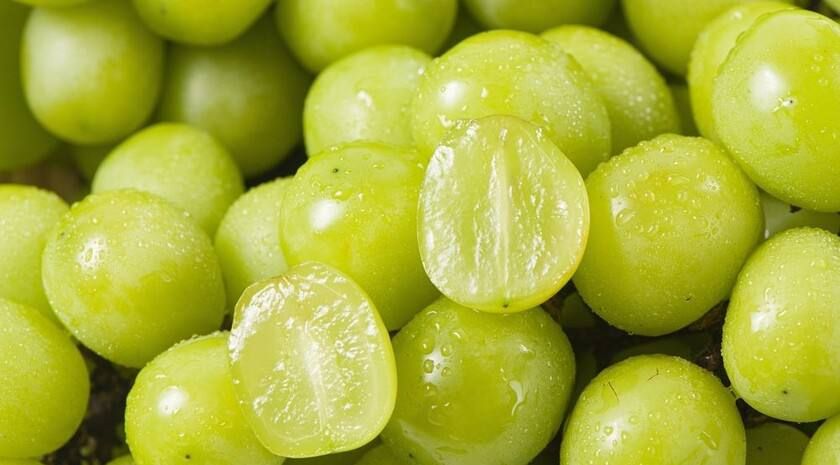 ������� ��������� �� ��������� ����������� ��������� ��������� ����� ������