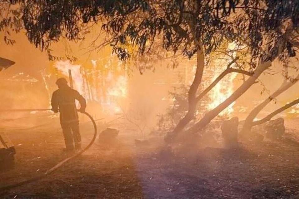 ���� � ���������� ��������� � ���� �� 5 ����� � ���������� �������