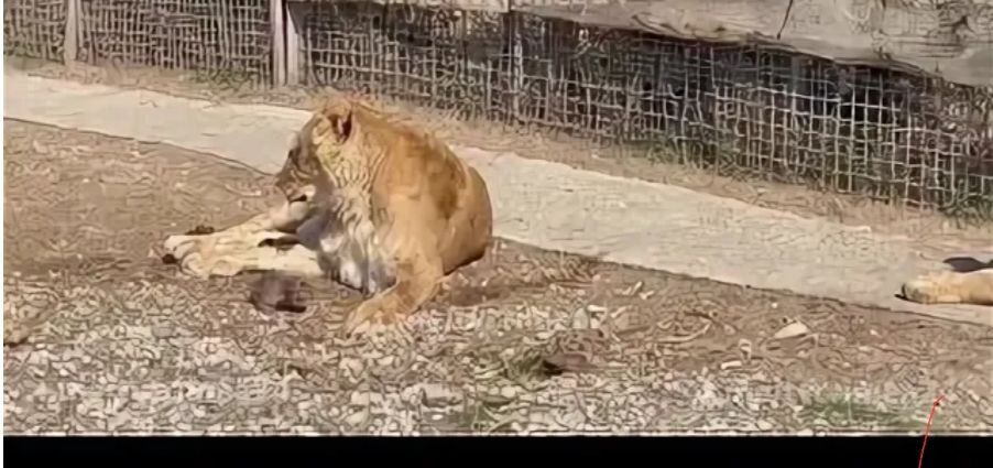 � ����� ���������� ���� ������� � �������������� ����� � �������� �� ������