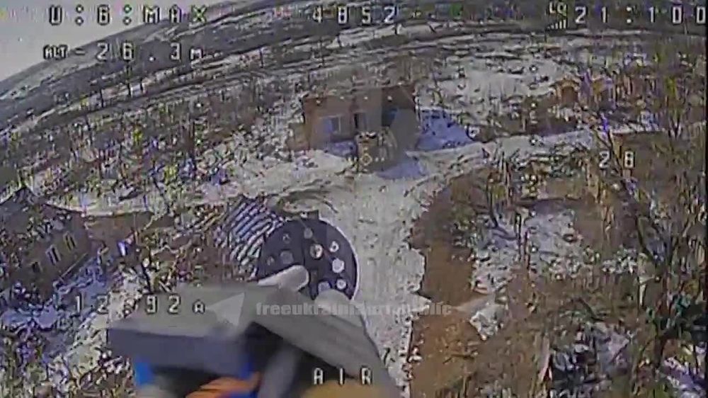 ���� �� �������: �� ��������������� ����������� ������ ����������� ���� ����������: ��� �113 � ��� ������� � ������ �.�