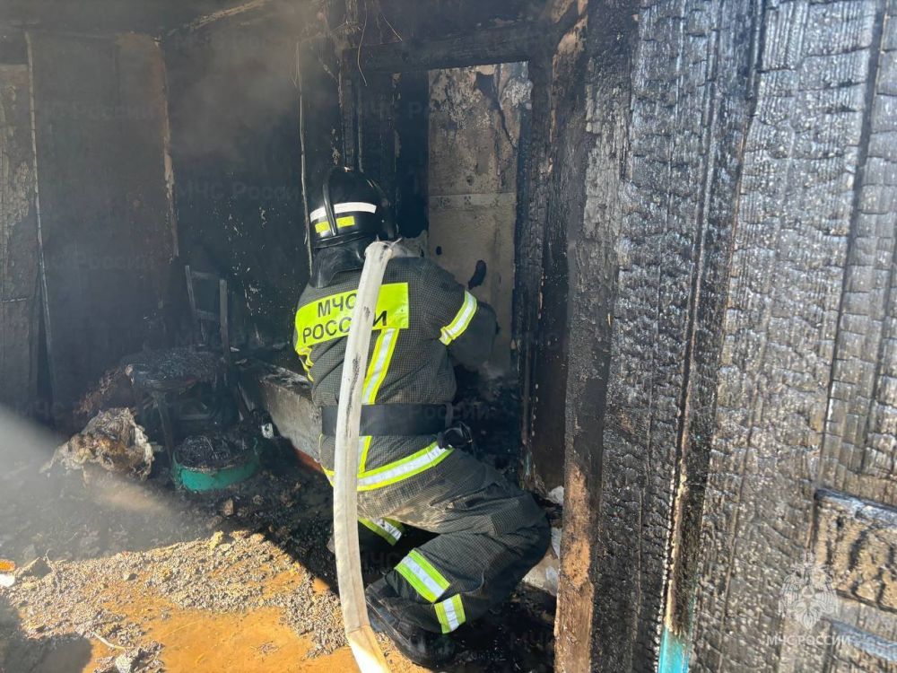 �������-������������ ������������� ������������� ���������� � ���������� ������