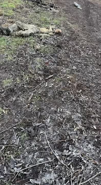 ������ � ������� �������