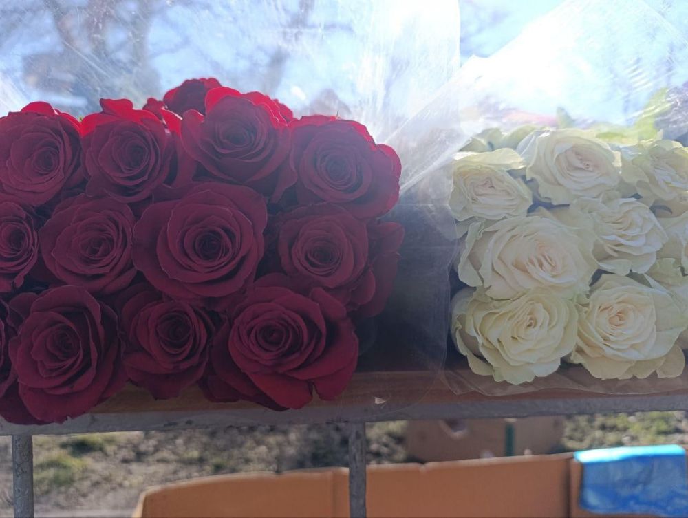 � ��������� ������ �������� ��������������� �������