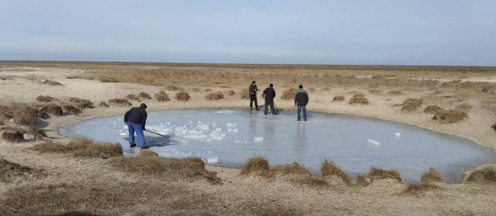 � �����-��������� ������������ ����� �������� ����������� �� ��������� �������� ��������