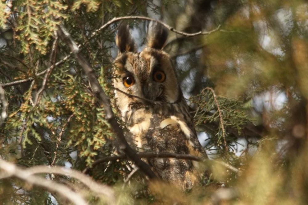 ������ ����� �������� ����� ��������������� ���� ��� ���������������� ����������� �� �������