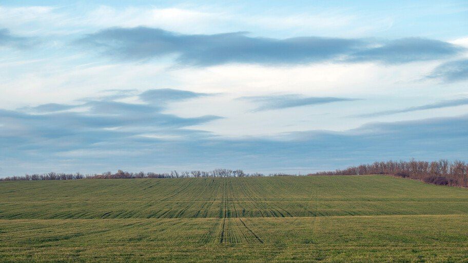 � ���������� ������ ������� ����� 50 ���