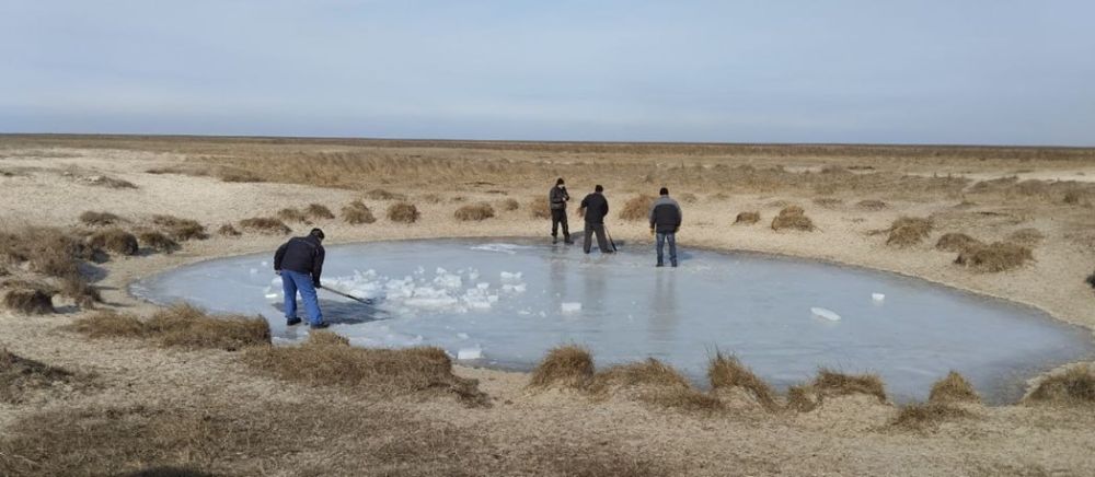 � �����-��������� ������������ ����� �������� �������������� ����������� �� ��������� �������� ��������