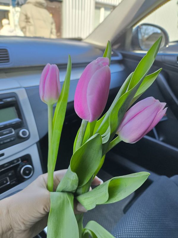 ������ ��� ��������