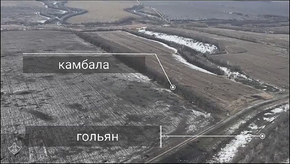 ������ ����� 34 ������� �������� ��� ������� ��������� �� ������� ���, ������ �� �� ������ ������� �� �������� ������������� , ��������� ��� ��������� � �������