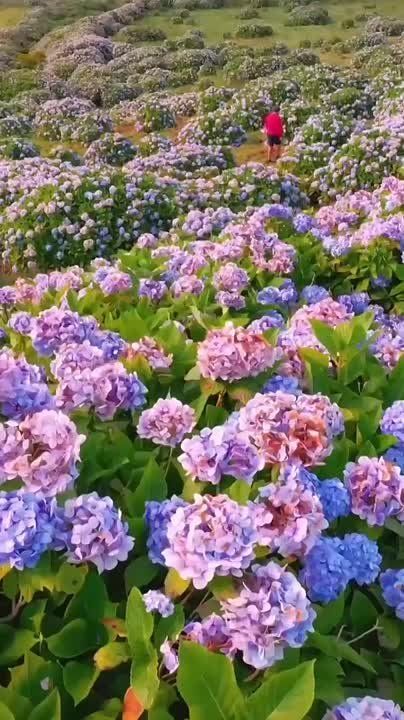 ��������� �������� ����������