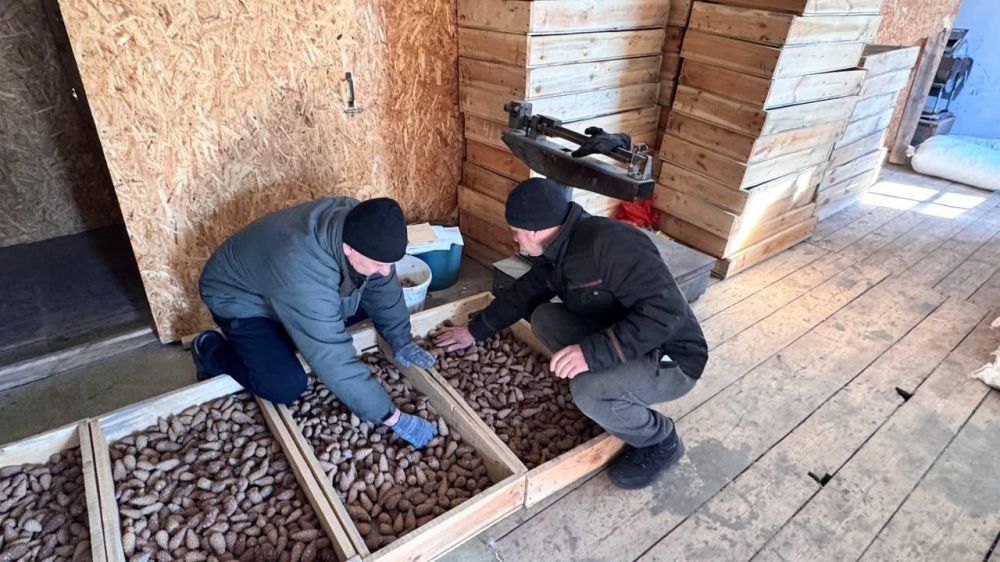 ��������������� � ������������ ������� ������ ����������� ����� ��� ��������� ����� �����