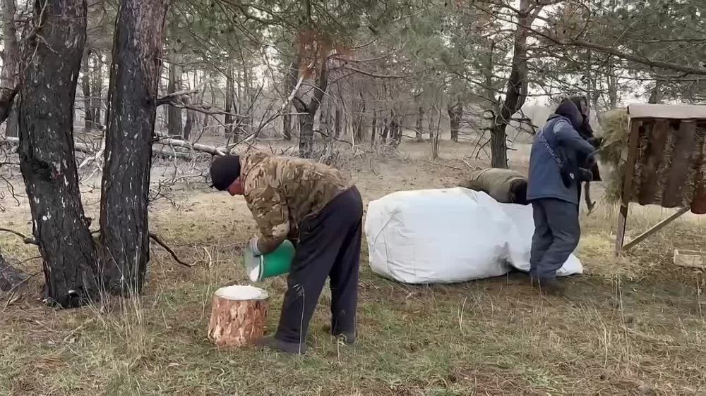 ���������� ���������������� ��������������� ��������� �������� ��������� ����� ������ ��������