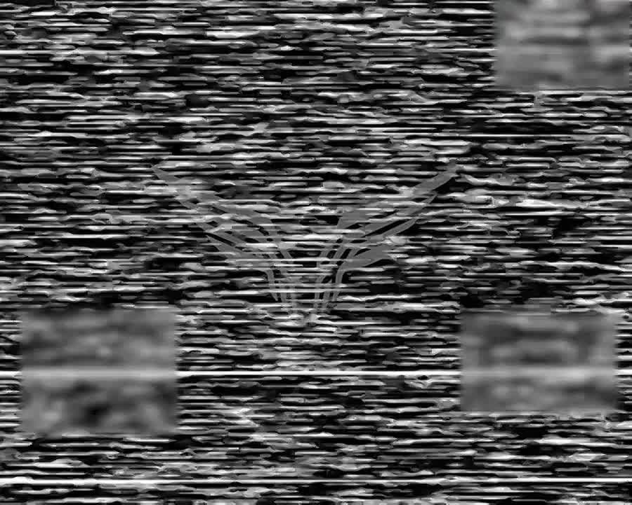 ���� �� �������: ������ ������ ��� ����� � �������� ������� �������