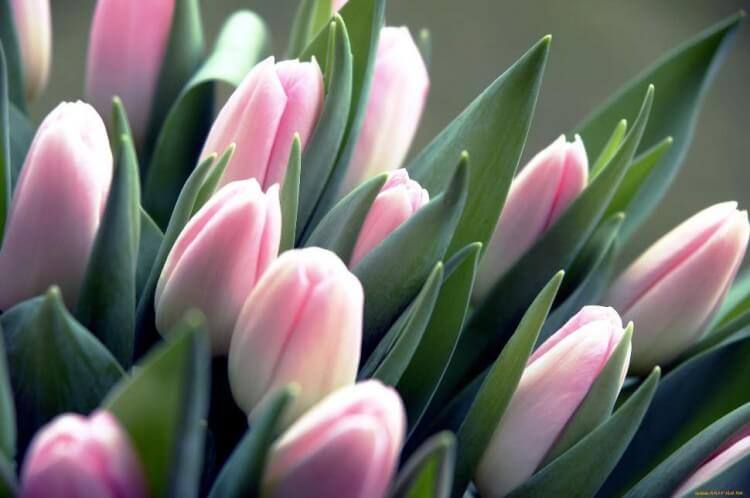 �������� ���������� ����������� ��������� ������� ������������� ����� � 8 �����