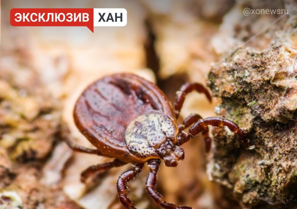 ������������ �������� ���������� � ������� ������������� ��� ��������� ����������