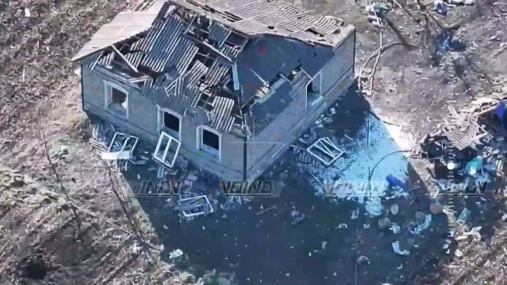 ���� �� �������: ��������� ���� 29 ����� ����������� "������" �������� ���, ������� ������ ���������� ������������� ������ ������������ � �������� �������