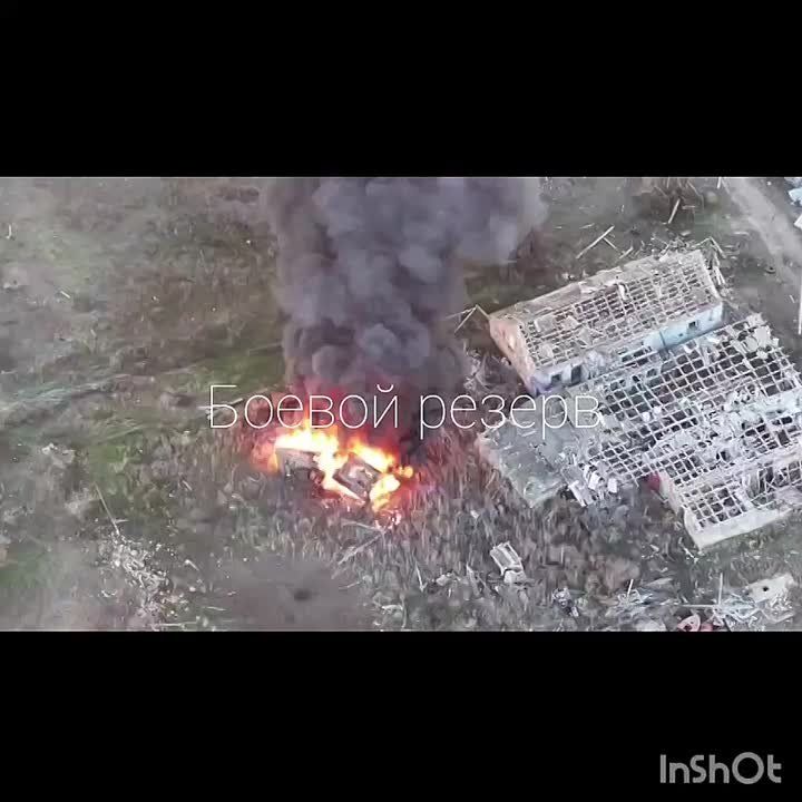 ����������� ����������� ��� BvS � �������� � ������ �������� ���������� �������