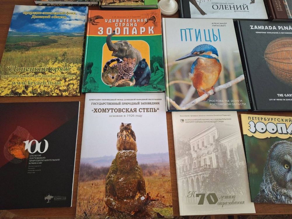 ������� �������� "������� ����� � �����" ��������� � ����������� "�������-���� "